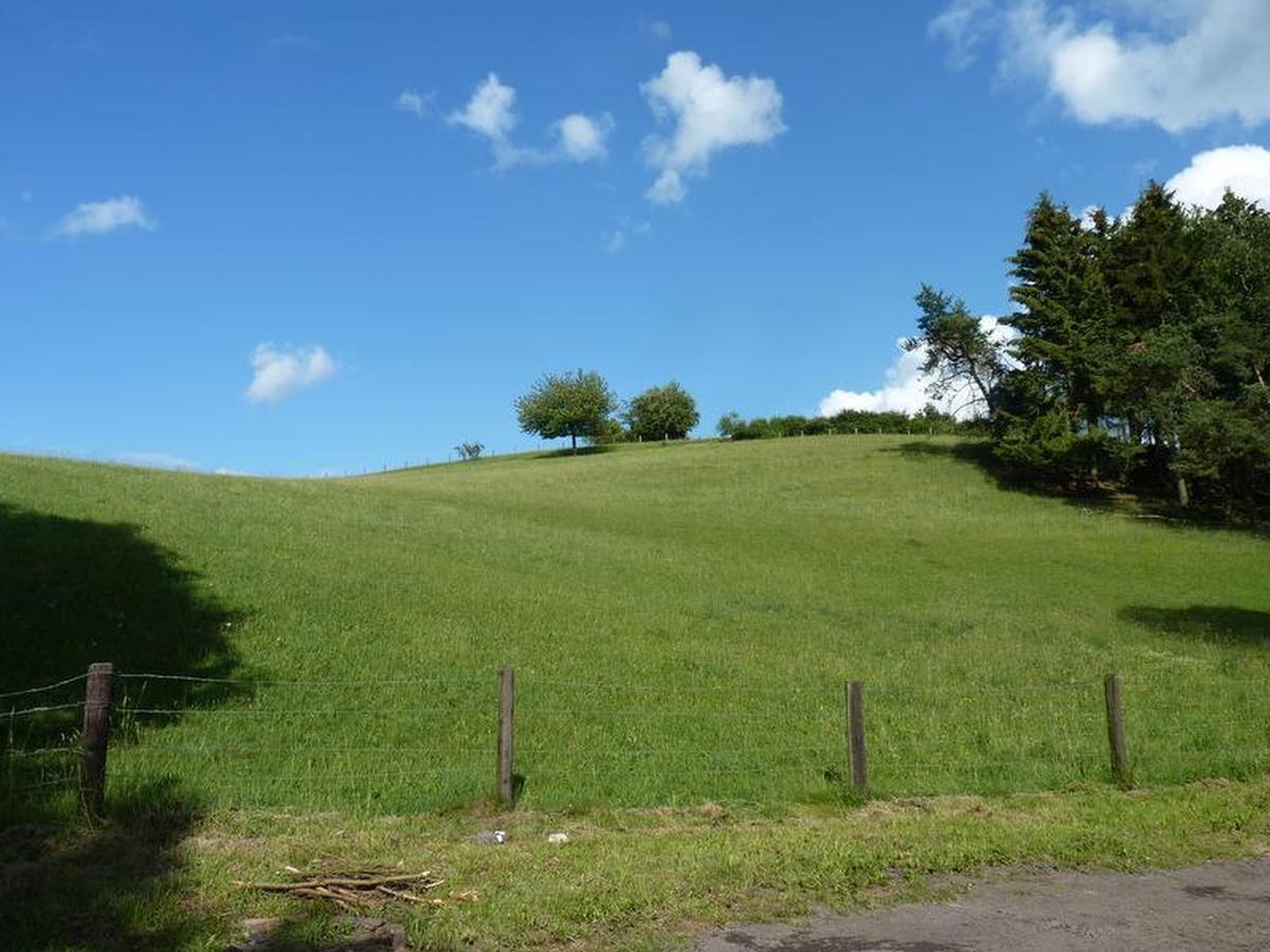 Suedeifel Ferienhaeuser Christian Faust Villa Zweifelscheid Екстериор снимка